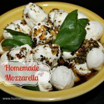 Homemade Mozzarella {www.homemadeinterest.com}