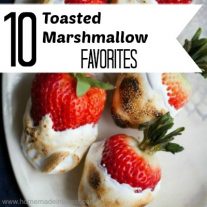 Celebrate toasted marshmallow day with one of these 10 toasted marshmallow recipes! Great for camping!