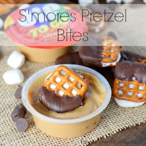 Salty, sweet, crunchy, gooey, these s’mores pretzel bites are the perfect on-the-go solution for s’mores lovers!