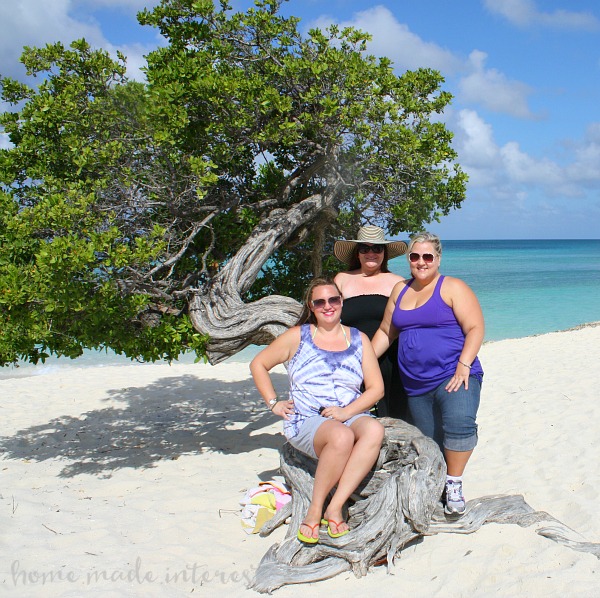 Eagle Beach Divi Tree Aruba