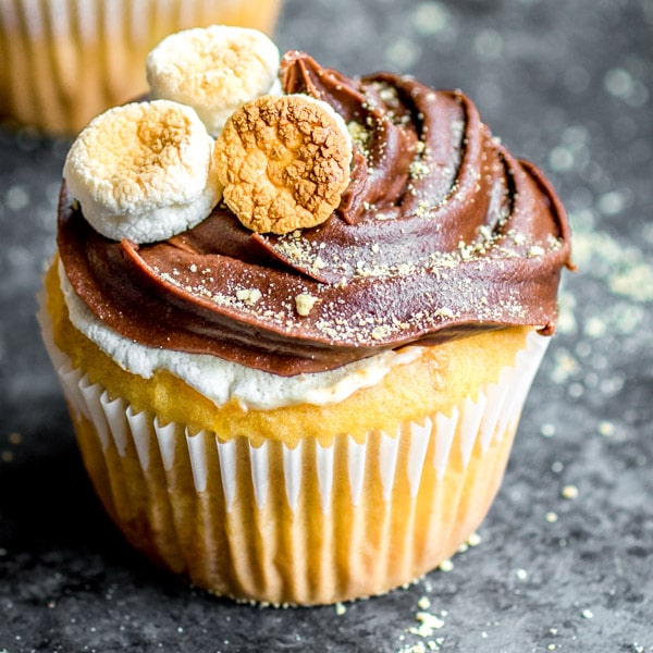 S'mores Cupcake with chocolate frosting and marshmallows
