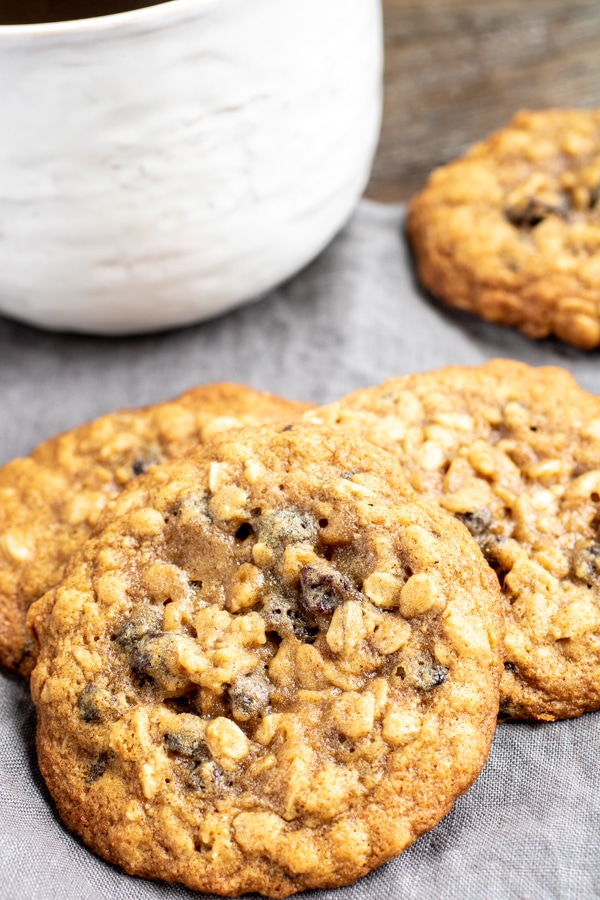 Close up of a chewy oatmeal raisin cookie