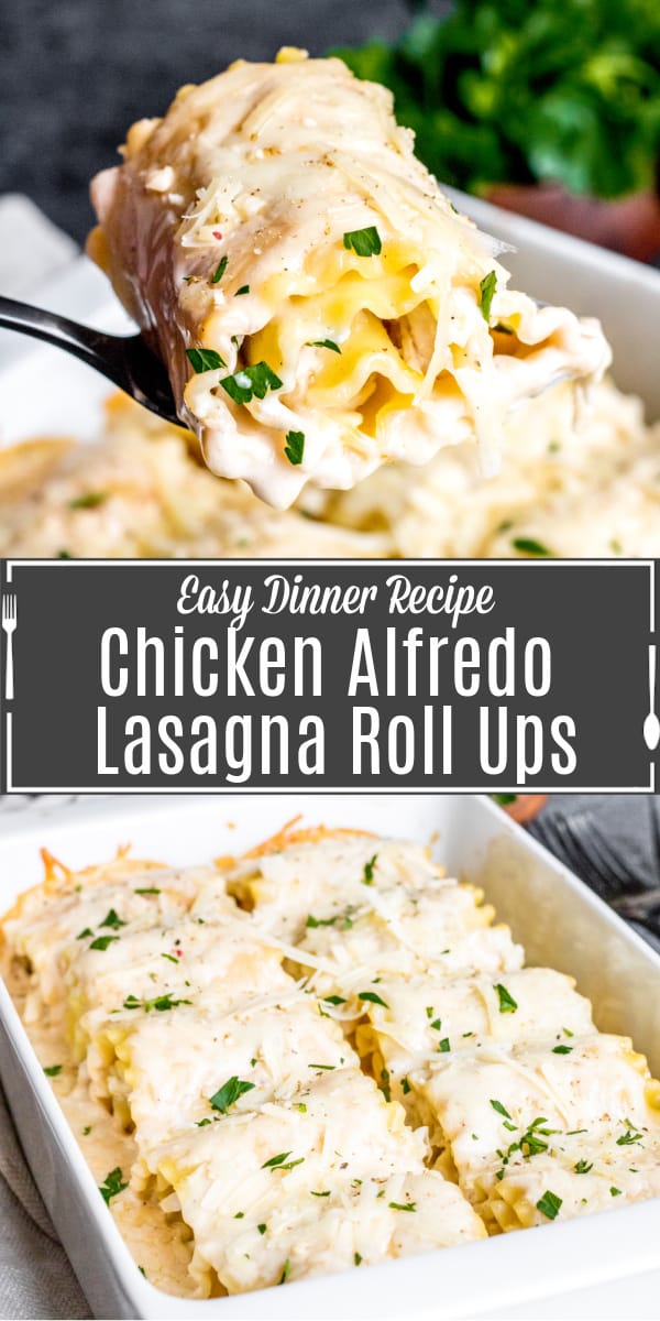 Pinterest image of Chicken Alfredo Lasagna Roll Ups with title text