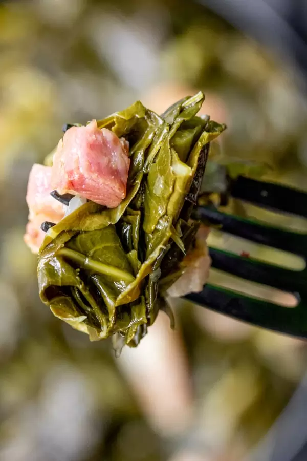 A bite of Instant Pot Collard Greens on a fork