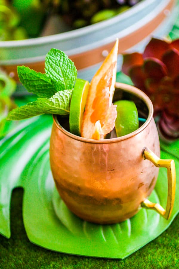 Citrus Moscow Mule is twist on a classic cocktail