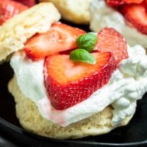 Fresh strawberries on whipped cream and a biscuit