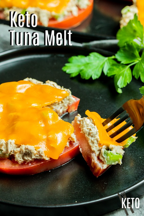 Pinterest image for Keto Tun aMelt with title