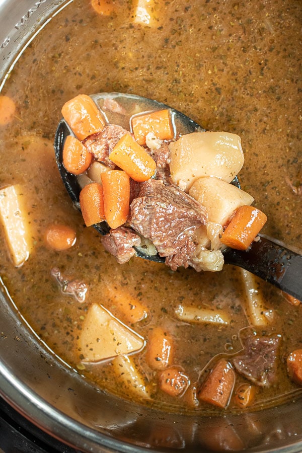 ladle of Instant Pot Beef Stew