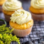 Close up if single lemon cupcake with white sprinkles