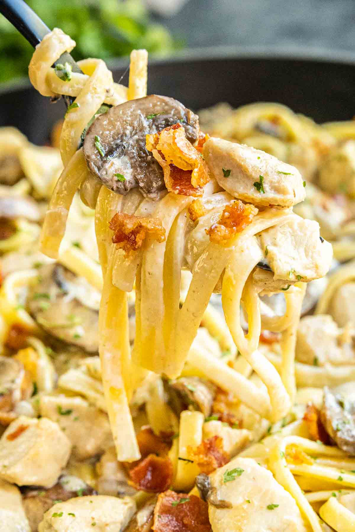 Creamy Chicken and Bacon Pasta rolled on up a fork