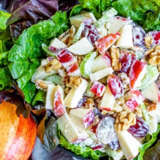 Waldorf Salad made with apples and grapes in a lettuce cup