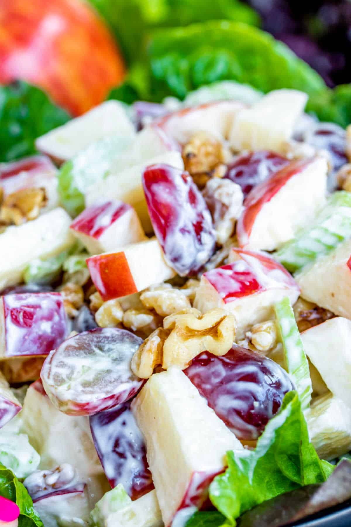 Waldorf Salad made with apples, grapes and walnuts