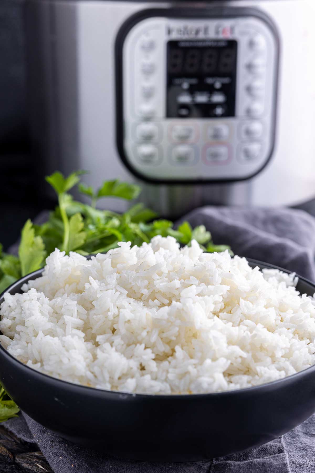 Instant Pot White Rice in a bowl and instant pot