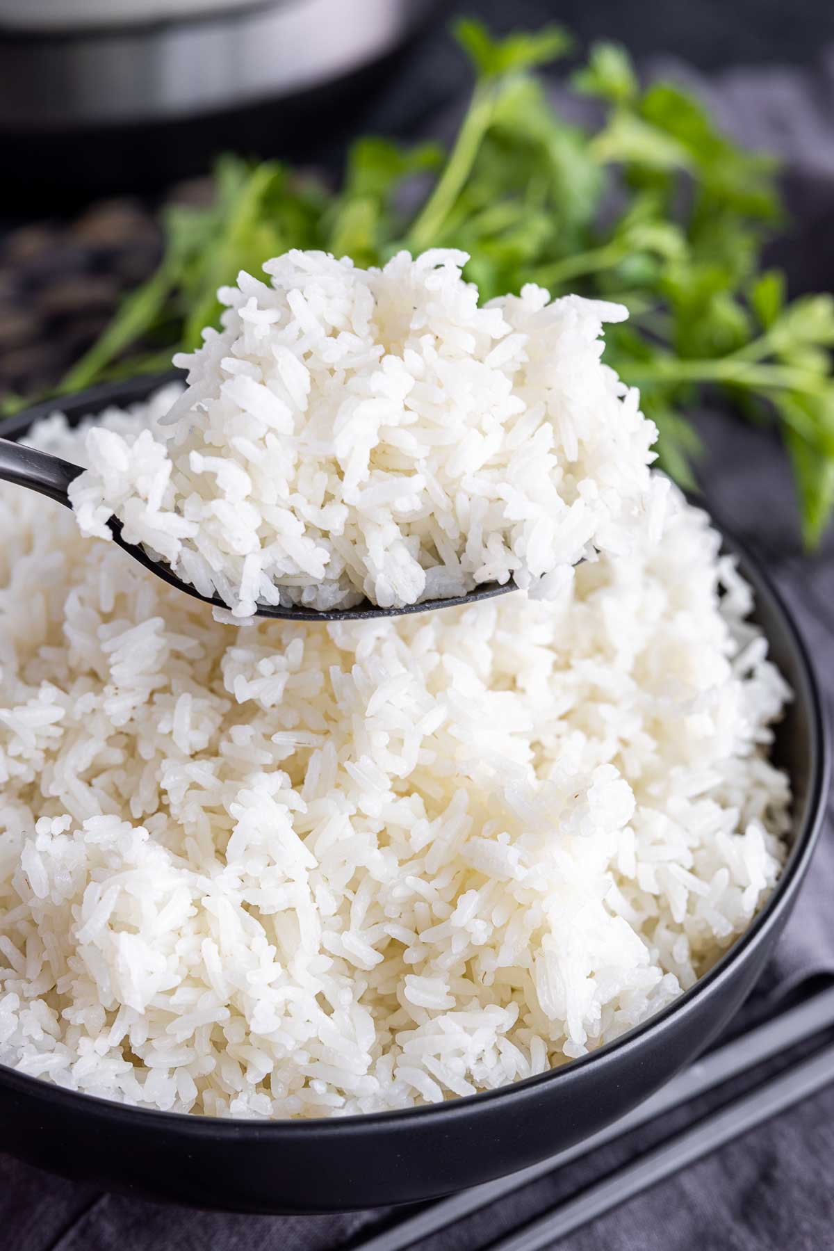 Instant Pot White Rice on a spoon and bowl
