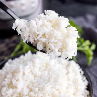 Instant Pot White Rice on a spoon