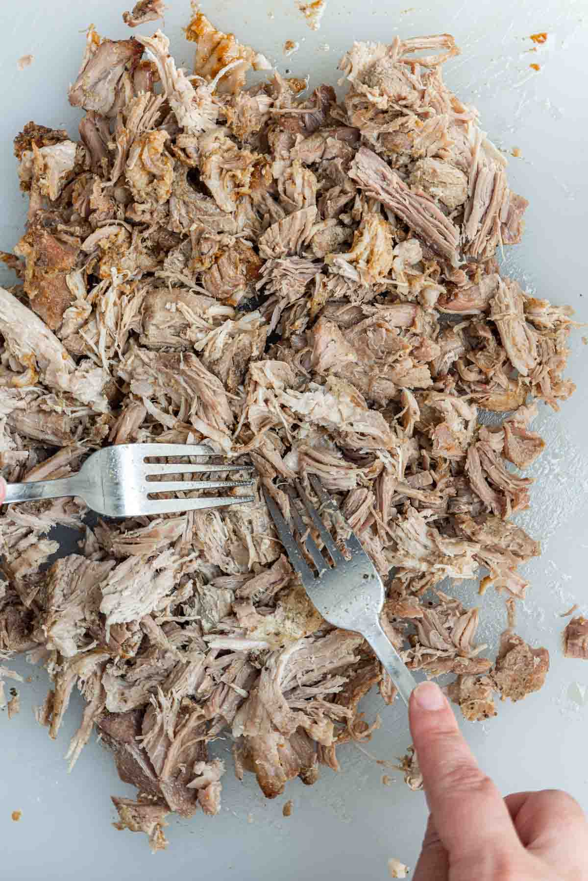 Slow Cooker BBQ Pulled Pork being shredded with forks