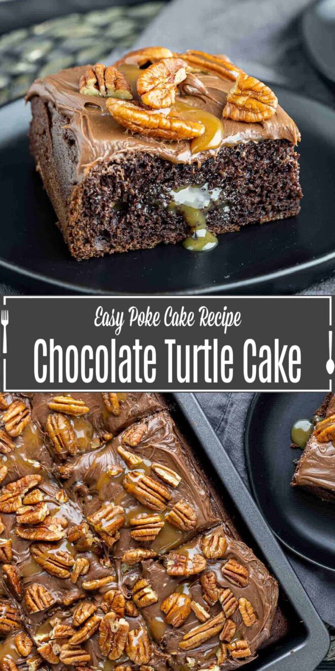 pinterest image of Chocolate Turtle Cake on a plate and pan