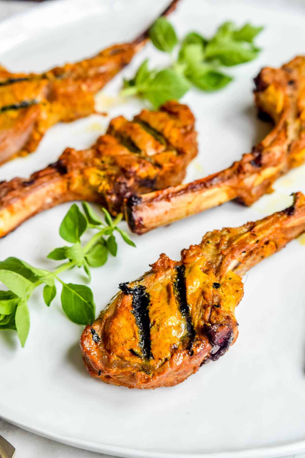 Grilled Lamb Chops in a Curry Marinade on a white platter
