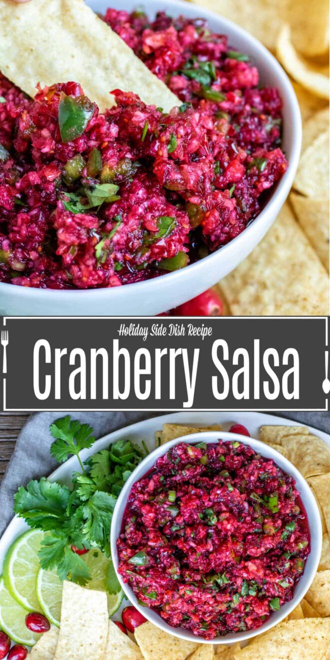 pinterest image of Cranberry Salsa