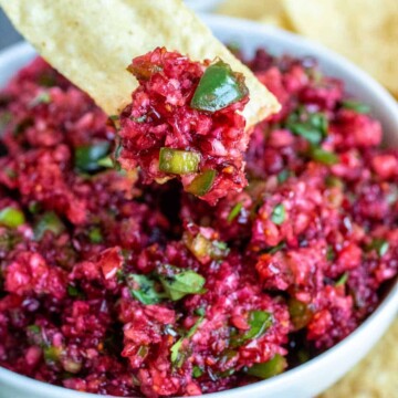 Cranberry Salsa on a chip