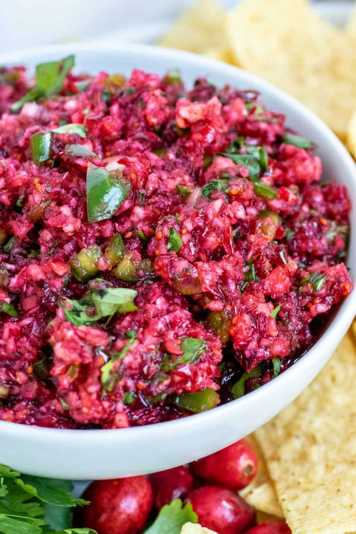 Cranberry Salsa in a white bowl