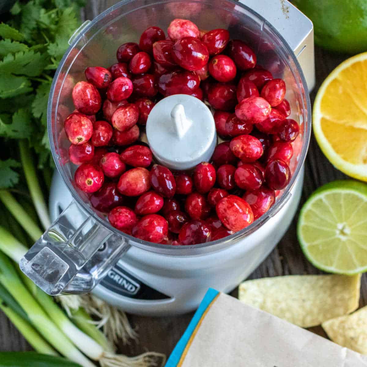Cranberry Salsa made with fresh cranberries in a food processor