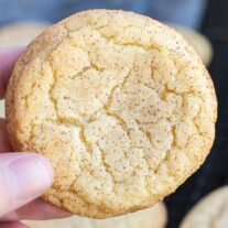 holding Snickerdoodles