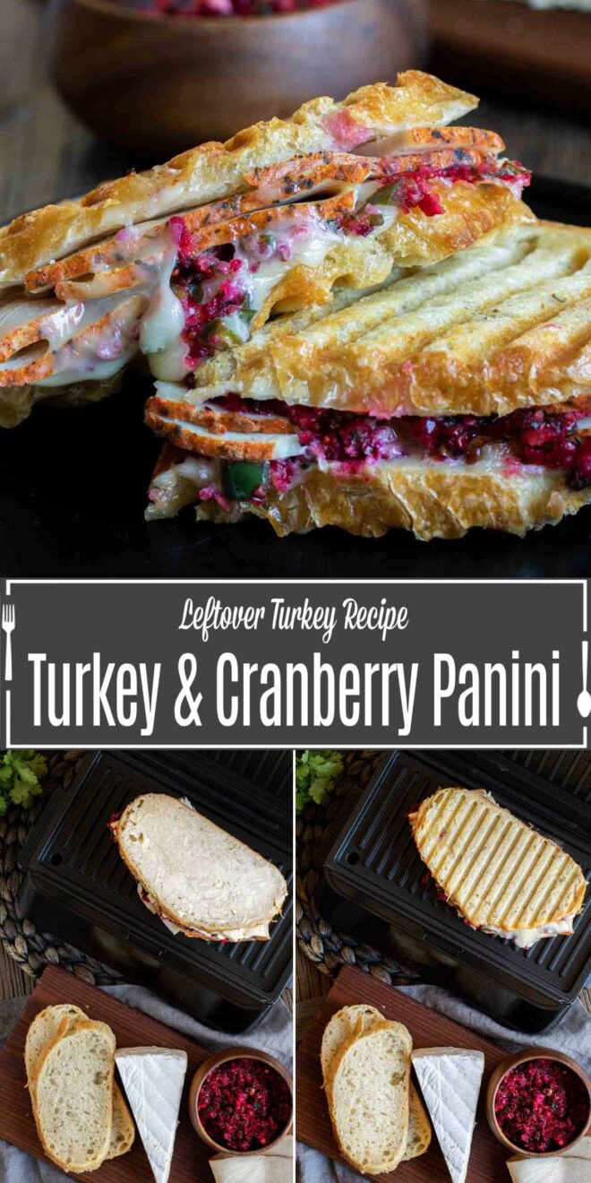 pinterest image of how to make Turkey and Cranberry Panini