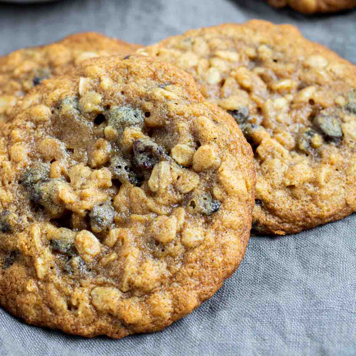 soft and chewy oatmeal raisin cookies on gray napkin