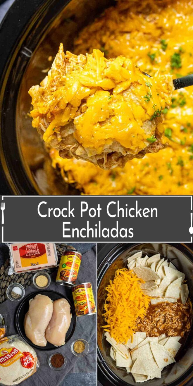 pinterest image of Crock Pot Chicken Enchiladas ingredients