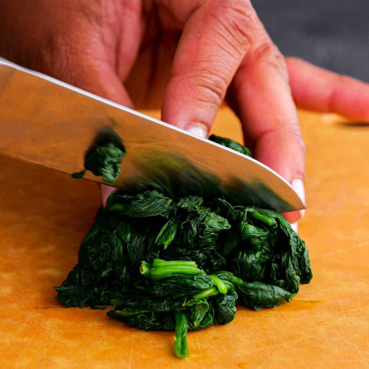 chopping up steamed spinach for Stuffed Shells