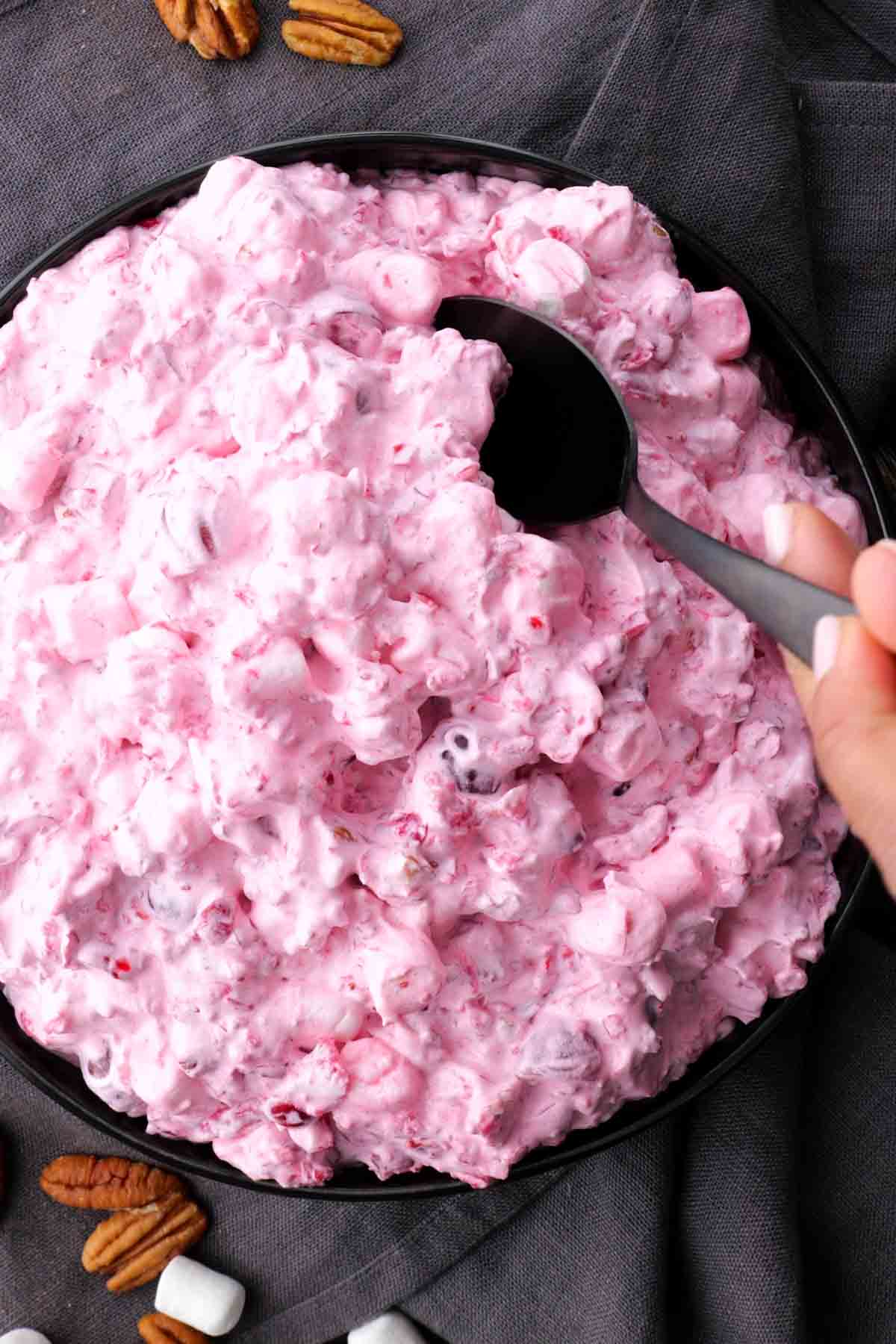 A person is holding a bowl Cranberry Fluff