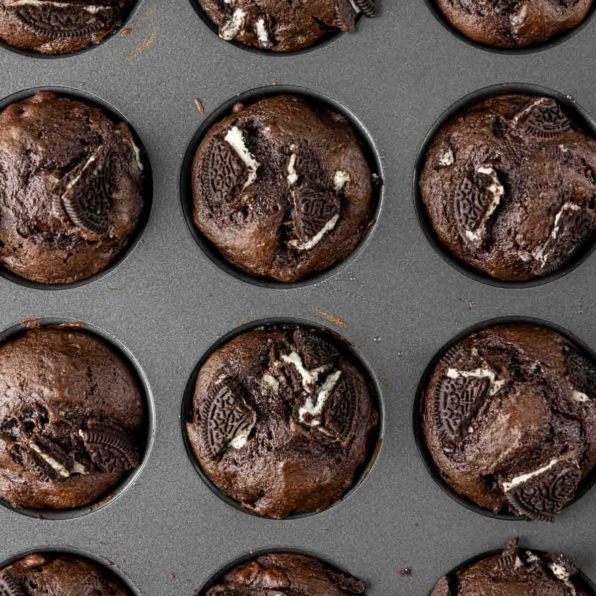 Chocolate oreo muffins in a muffin tin.