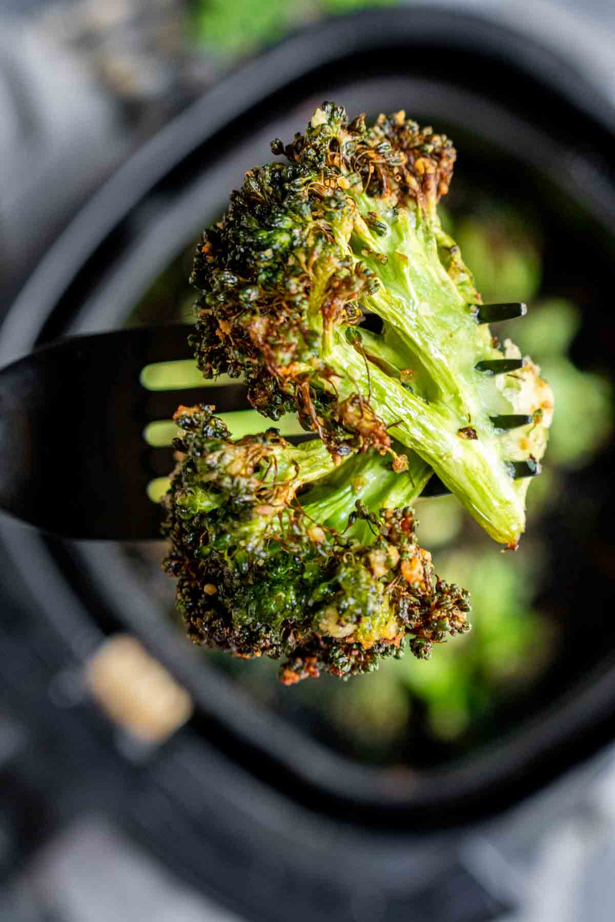 Air Fryer Broccoli floret held by tongs with charred edges, suggesting a crispy texture.