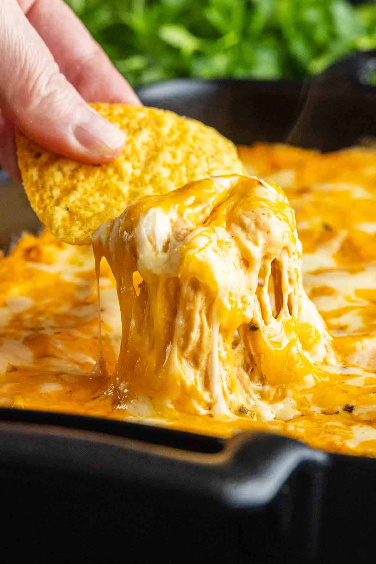 A hand dips a tortilla chip into a cheesy, melted chicken enchilada dip in a black dish, with gooey cheese stretching between the chip and the savory game day dip.