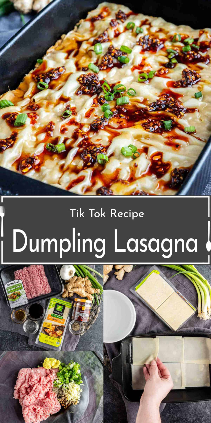Collage showing dumpling lasagna in a baking dish, labeled ingredients including ground meat and dumpling wrappers, and step-by-step assembly of the dish. Text reads "Dumpling Lasagna.