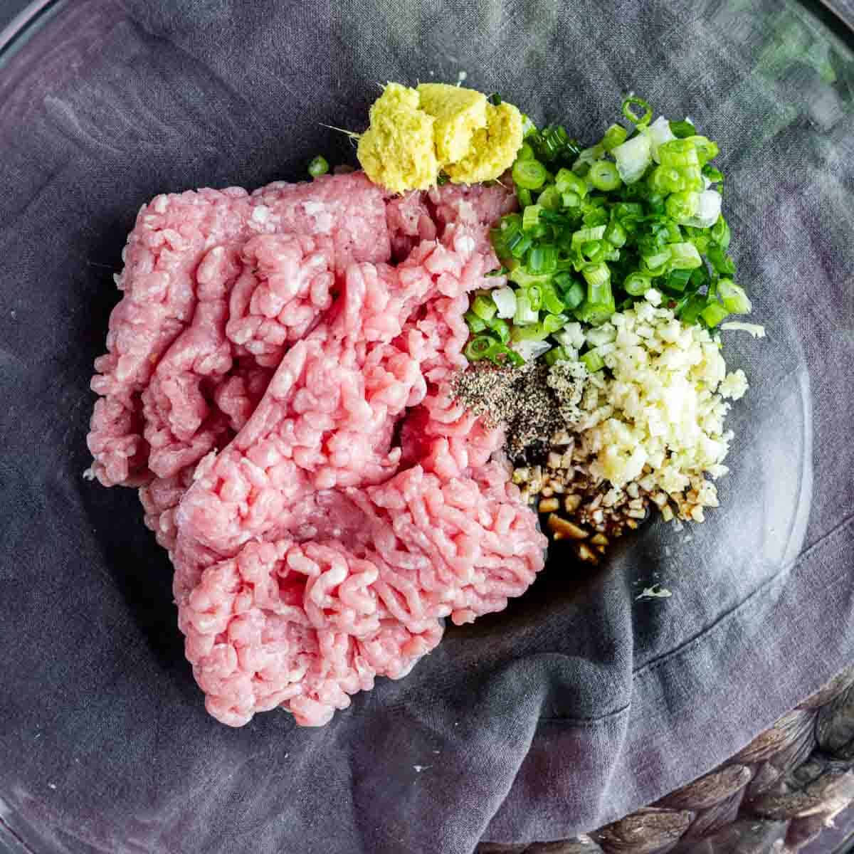 Raw ground meat, chopped green onions, minced garlic, seasonings, soy sauce, and grated ginger combined in a glass mixing bowl—perfect for assembling a flavorful pork dumpling casserole or trying the viral dumpling lasagna trend.