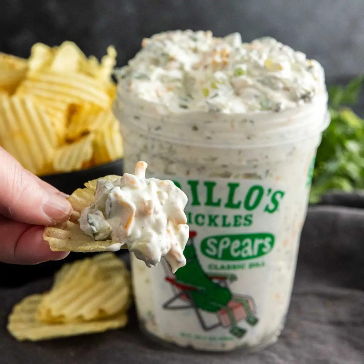 A hand holds a ridged potato chip dipped in creamy Viral Pickle Dip, with a container of pickle dip and a pile of potato chips in the background.