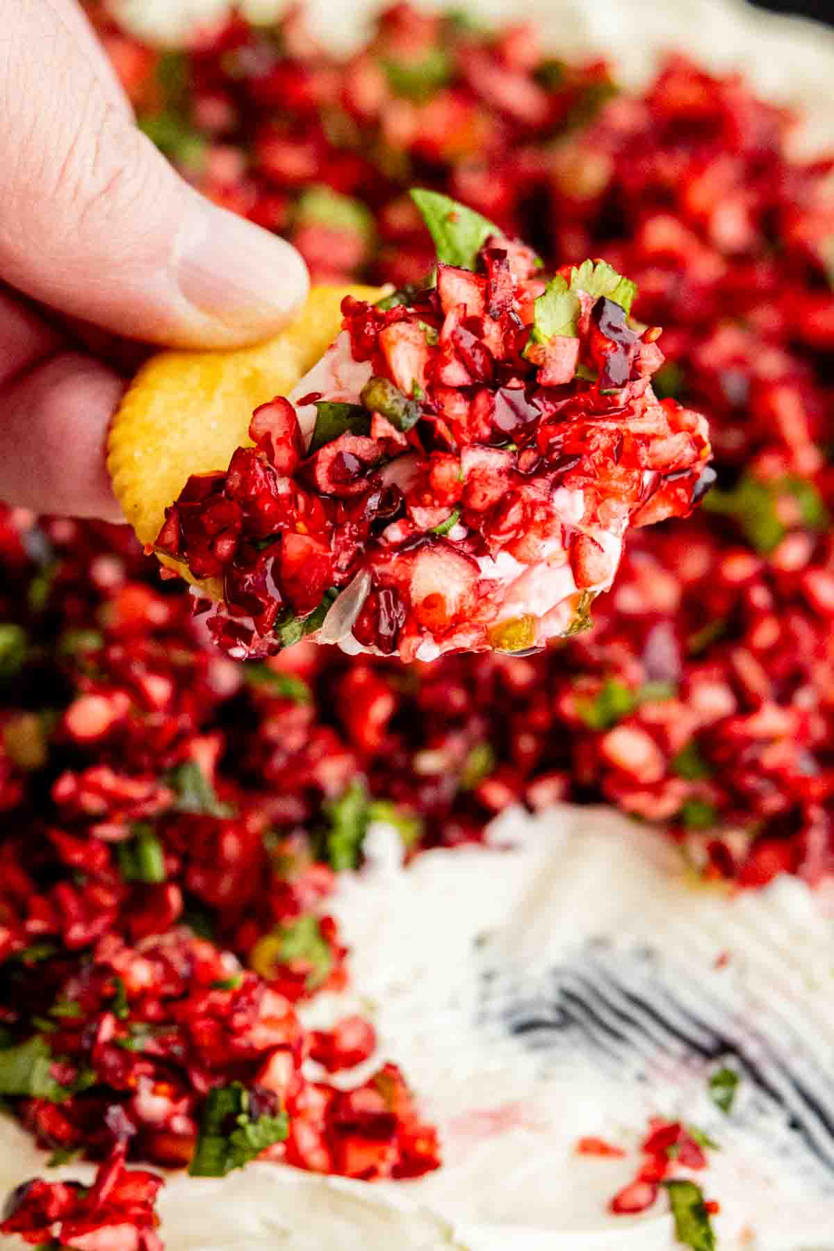 A round cracker held by a hand, topped with cream cheese and a cranberry jalapeño dip.