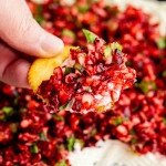 A hand holds a round cracker topped with cream cheese and a red fruit and herb salsa.