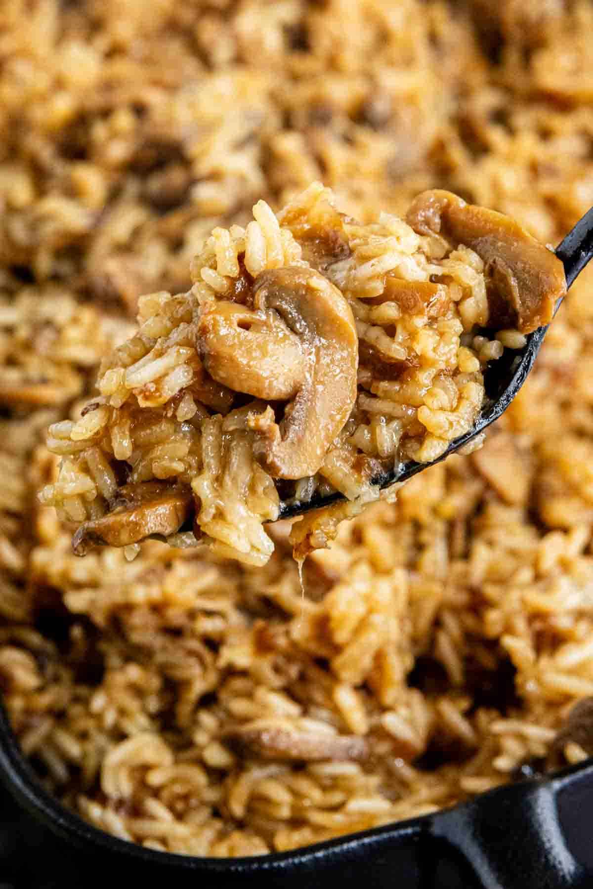 A spoonful of French onion butter rice with sautéed mushroom slices in a savory sauce.