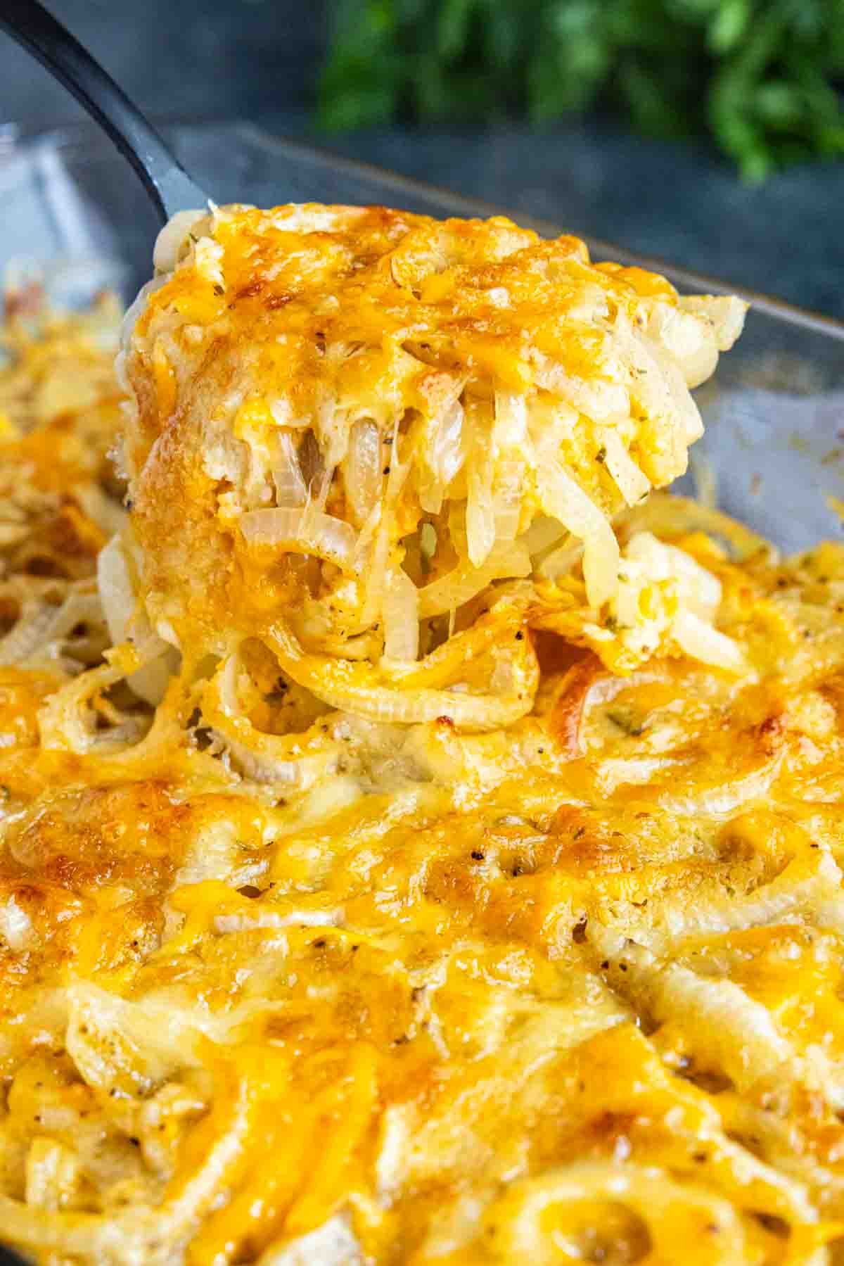 A spatula lifts a portion of cheesy onion casserole from a glass baking dish.